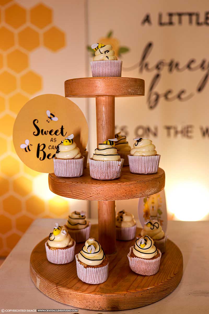Baby Shower Photography In Symphony Hall