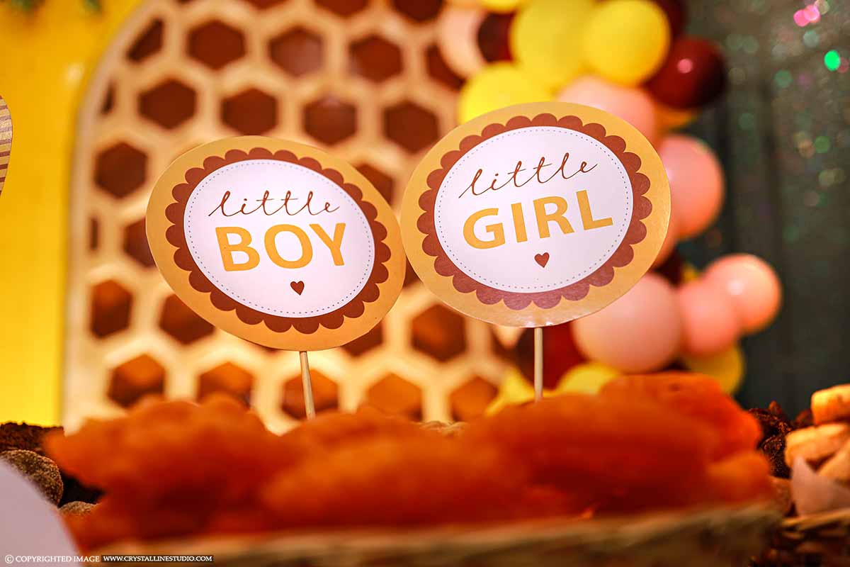 baby shower photography rates in kerala