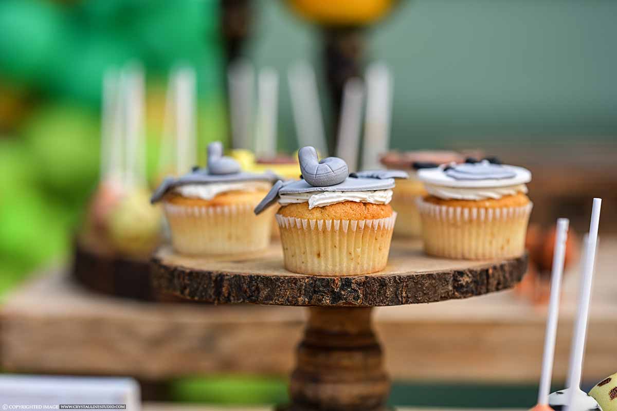 cup cake style photos In Ernakulam