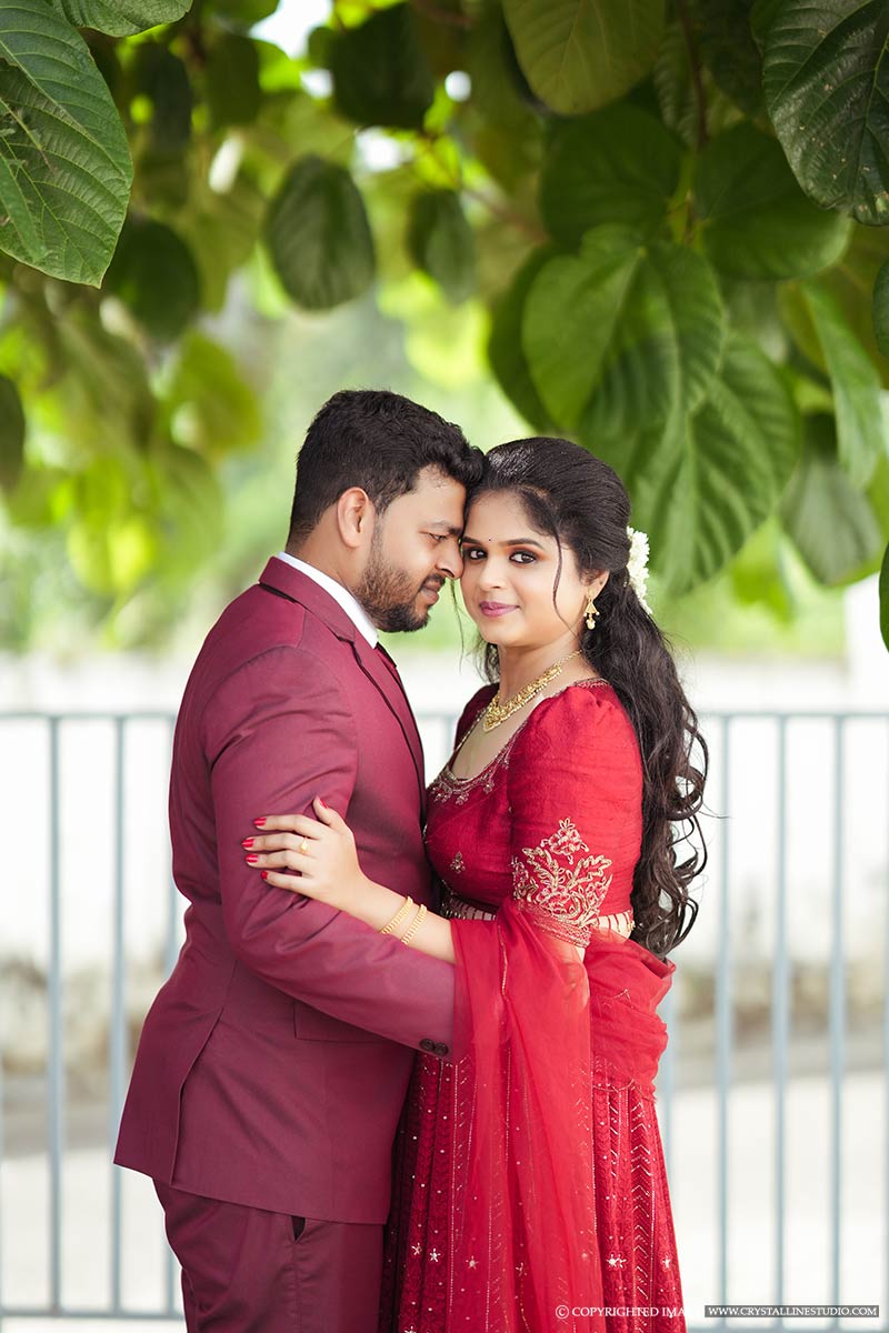 Pin by Chinz on wedding | Kerala engagement dress, Dress makeover, Net dress